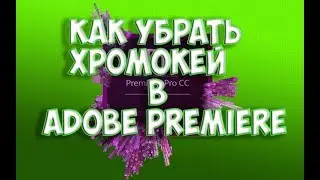 Adobe Premiere Pro Гайд №3. Убираем зелёный фон(хромокей).