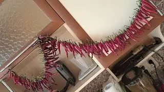 Принципы. Стрим с рутуба