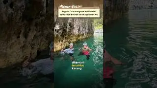 Ragnar Oratmangoen menyelami bawah laut di Goa Hawang Kepulauan Kei 