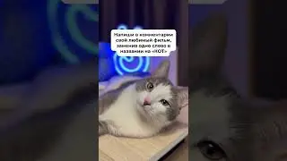 Например: Кот с Уолл-стрит, Кот и голуби, Поймай кота если сможешь