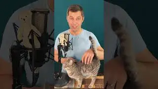 Да будет так! Аффирмация дня: сегодня самый лучший день в моей жизни