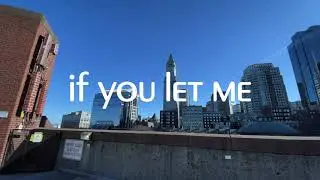 DREAMING II — IF YOU LET ME