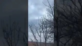 Під Миколаєвом збили ворожий гелікоптер