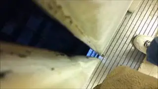 Unsafe Conditions on the OTIS Elevator at Macy's at Walt Whitman Shops