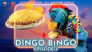 Dingo Bingo : EP 3 - Bargain Bird Australia