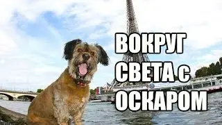 Путешествие знаменитого пса Оскара вокруг света