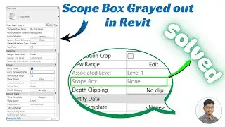 scope box in properties in Revit is greyed out