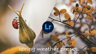Spring weather preset using lightroom mobile #editing #tutorial #lightroom
