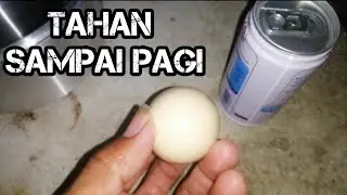 CARA MEMBUAT JAMU OBAT KUAT - CARA CAMPUR TELUR SUSU BERUANG
