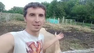 Жестокий тиран, да и наглый ещё 😂