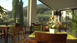 COLLE DEGLI OLIVI - Agriturismo in Assisi, Italy