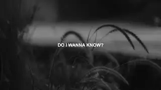 Krayvent - Do I Wanna Know? (feat. Tyler Moore) [Lyric Video]