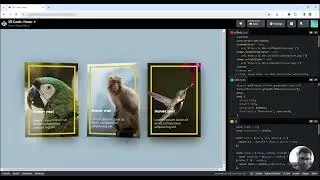 3D Cards : Hover using HTML, CSS, jQuery | Link in Description