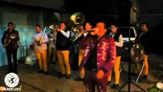 LA BANDOTA ALTO MANDO - MI GUSTO ES , EL SAUCE Y LA PALMA  Y SONES (MLC)