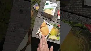 посадка арбузов,и дынь 