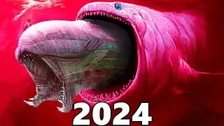 Evolution of BLOOP / Evolution Now