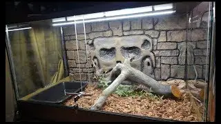 HOW TO MAKE A TERRARIUM?A PREPARATORY STAGE.ERRORS IN THE CONSTRUCTION OF THE FIRST TERRARIUM.