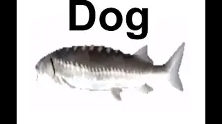 shitpost 4