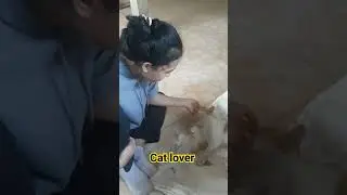 Cat Lover by Dyah A #triscamchannel #catlover #siacil