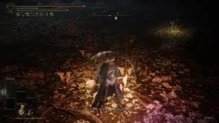 ELDEN RING™ - Goddess of Rot forgot to refill her HP bar upon phase transition.