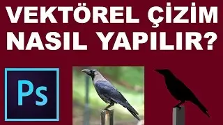 Vektörel Çizim Yapmak | Photoshop Dersleri