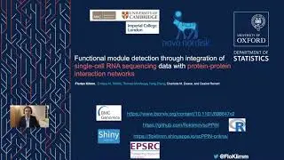 Functional module detection through integration of scRNA-seq data with protein interactions