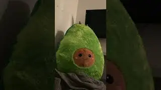Die XXL Avocado Story 🥑 #shorts