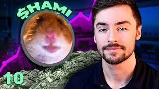 Running a Multi-Million Dollar Solana Meme Coin Project ($HAMI Update 10)