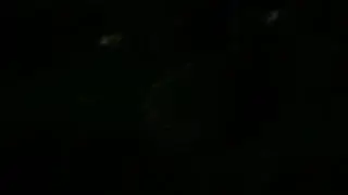 К нам пришёл ёжик.