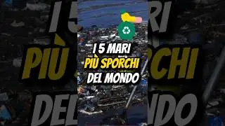 I 5 MARI PIÙ SPORCHI AL MONDO🗑️