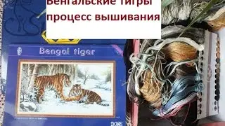DOME70702 Bengal Tigers: A Review and the First Crosses