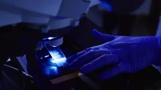 WFP - Combo Therapies