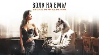 ВОЛК на BMW - Полифония