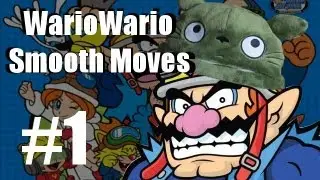 WarioWare Smooth Moves- Part 1- Sit Down, Bitch!- Warpigz64