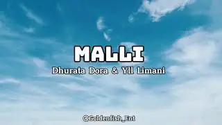 DHURATA DORA X YLL LIMANI - MALLI (Lyrics)