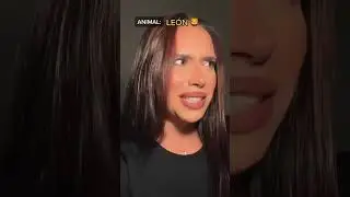 #pov