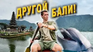 Таким Бали вы еще не видели! Путешествие на север: дельфины, заброшенный отель, водопады и клубника!