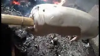 lechon rabbit