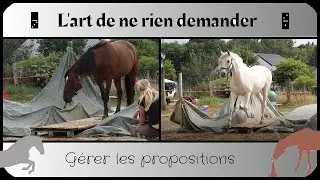 L'art de ne rien demander
