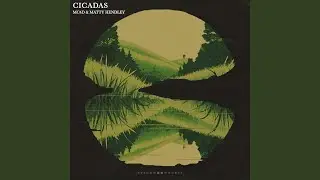 Cicadas