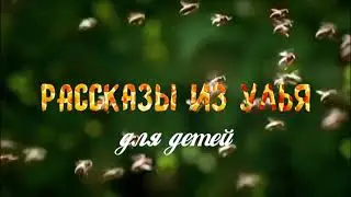 Рассказы из улья для детей