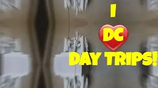 Bikini Model on Washington DC Tour