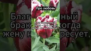 Благополучный брак – это #психология #факты