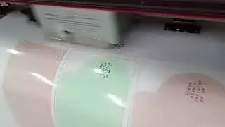 do you want to know how the roland printer printing on the stickers ?
