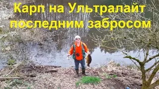 Весна, саккура, спиннинг, последний заброс... карп!