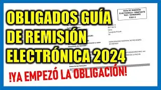 Obligados a emitir Guía de Remisión Electrónica 2024 SUNAT