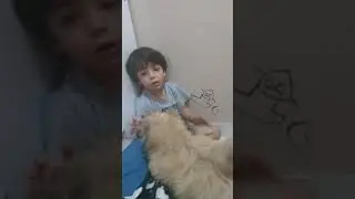 Minha mãe tem cara de batata