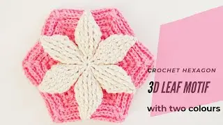 Crochet Hexagon 3D Leaf Motif With Two Colors
