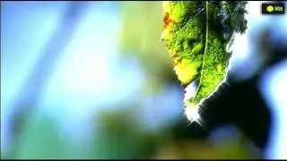 Music of Stations - Without a trace  ♫ █▬█ █ ▀█▀ ♫