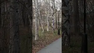 Сегодня ОСЕНЬ, завтра ЗИМА.